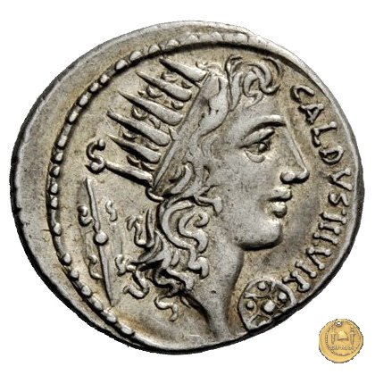 437/1 - denario C. Coelius Caldus 51 BC (Roma)