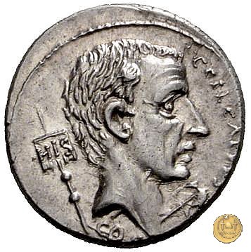 437/2 - denario C. Coelius Caldus 51 BC (Roma)