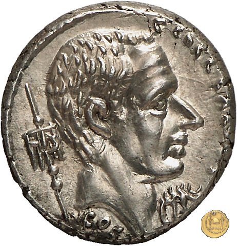 437/2 - denario C. Coelius Caldus 51 BC (Roma)