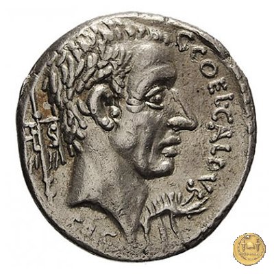 437/2 - denario C. Coelius Caldus 51 a.C. (Roma)