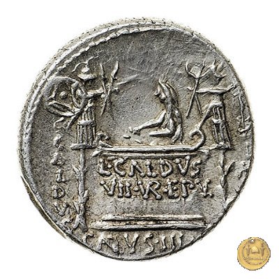 437/2 - denario C. Coelius Caldus 51 BC (Roma)