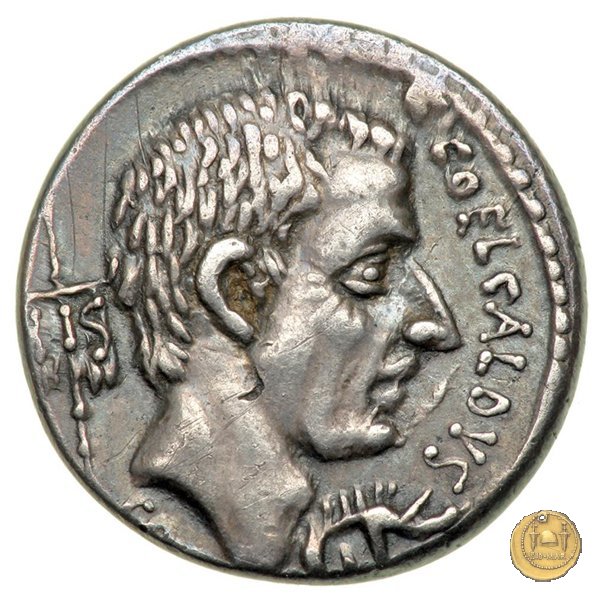 437/2 - denario C. Coelius Caldus 51 BC (Roma)