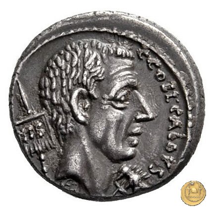 437/2 - denario C. Coelius Caldus 51 BC (Roma)