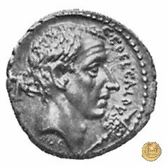 437/3 - denario C. Coelius Caldus 51 BC (Roma)