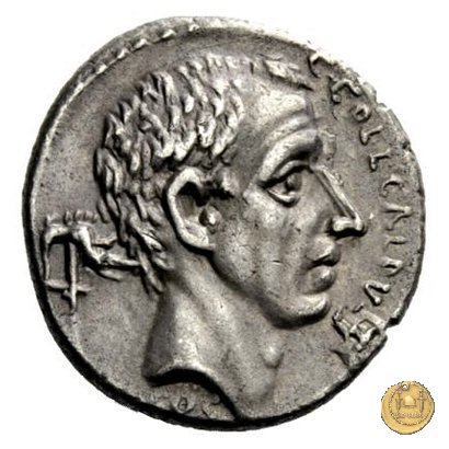 437/3 - denario C. Coelius Caldus 51 BC (Roma)