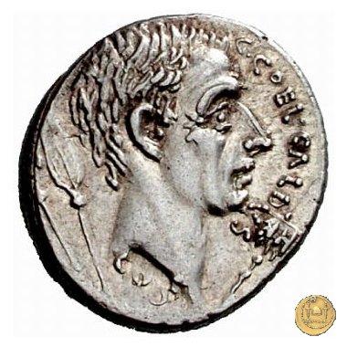 437/4 - denario C. Coelius Caldus 51 BC (Roma)