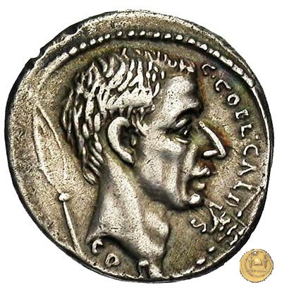 437/4 - denario C. Coelius Caldus 51 BC (Roma)