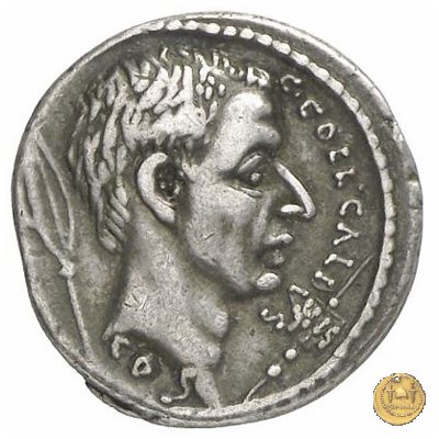 437/4 - denario C. Coelius Caldus 51 BC (Roma)