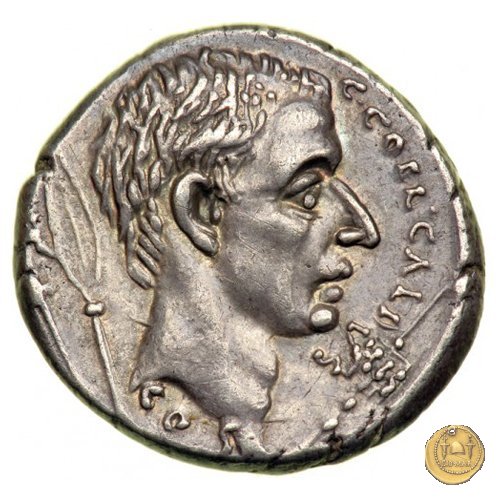 437/4 - denario C. Coelius Caldus 51 BC (Roma)