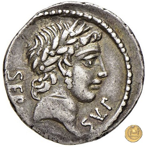 438/1 - denario Servius Sulpicius 51 BC (Roma)