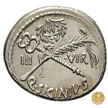 440/1 - denario Q. Sicinius 49 BC (Roma)