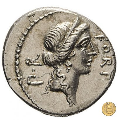 440/1 - denario Q. Sicinius 49 BC (Roma)