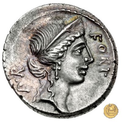 440/1 - denario Q. Sicinius 49 BC (Roma)