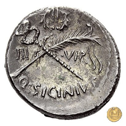 440/1 - denario Q. Sicinius 49 BC (Roma)