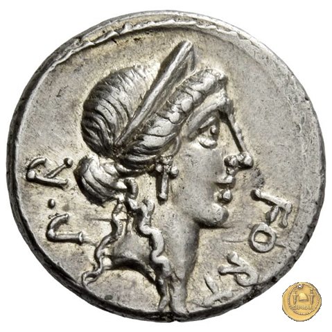 440/1 - denario Q. Sicinius 49 BC (Roma)