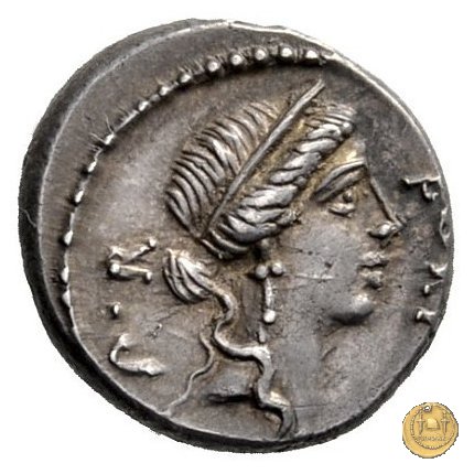 440/1 - denario Q. Sicinius 49 BC (Roma)