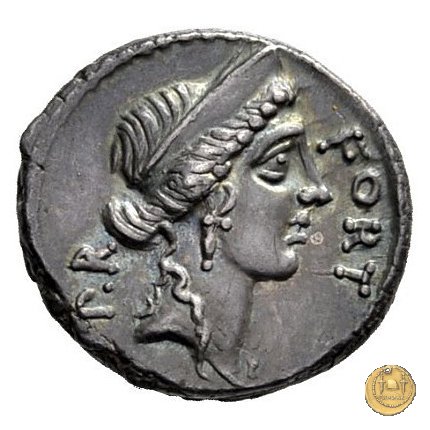 440/1 - denario Q. Sicinius 49 BC (Roma)