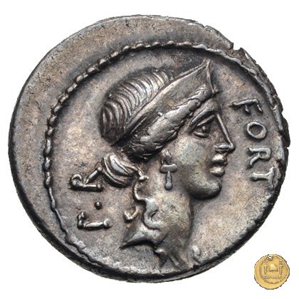 440/1 - denario Q. Sicinius 49 BC (Roma)