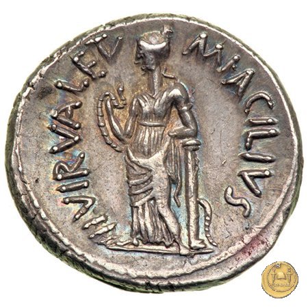 442/1 - denario Mn. Acilius Glabrio 49 BC (Roma)