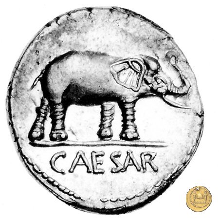 443/1 - denario C. Iulius Caesar 49-48 BC (Itinerante con Caesar)