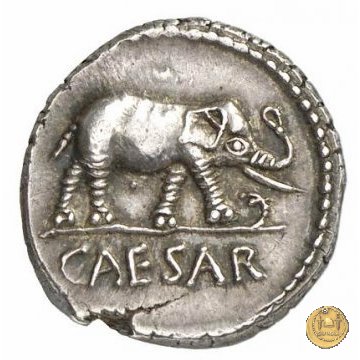 443/1 - denario C. Iulius Caesar 49-48 BC (Itinerante con Caesar)