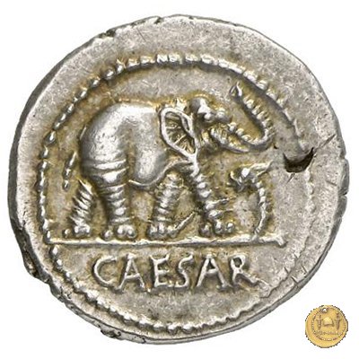 443/1 - denario C. Iulius Caesar 49-48 BC (Itinerante con Caesar)