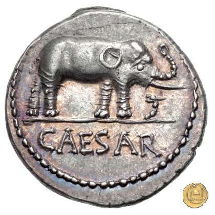 443/1 - denario C. Iulius Caesar 49-48 BC (Itinerante con Caesar)