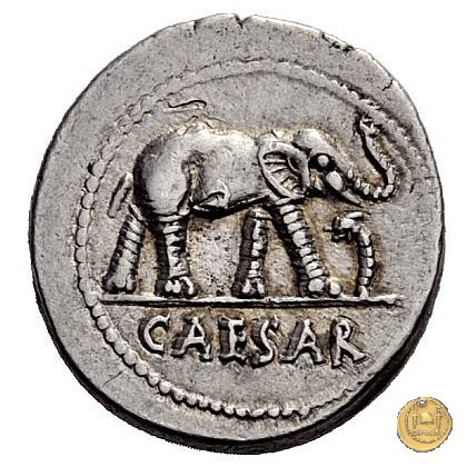 443/1 - denario C. Iulius Caesar 49-48 BC (Itinerante con Caesar)