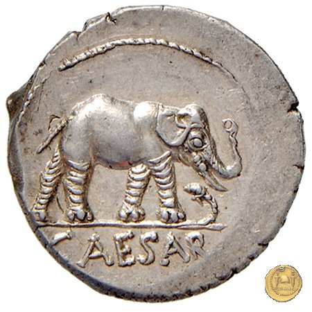 443/1 - denario C. Iulius Caesar 49-48 BC (Itinerante con Caesar)