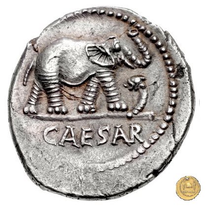 443/1 - denario C. Iulius Caesar 49-48 BC (Itinerante con Caesar)