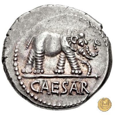 443/1 - denario C. Iulius Caesar 49-48 BC (Itinerante con Caesar)