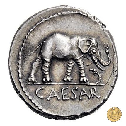 443/1 - denario C. Iulius Caesar 49-48 BC (Itinerante con Caesar)