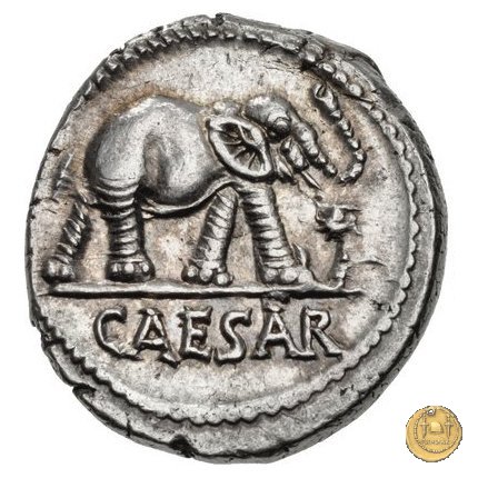 443/1 - denario C. Iulius Caesar 49-48 BC (Itinerante con Caesar)