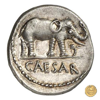 443/1 - denario C. Iulius Caesar 49-48 BC (Itinerante con Caesar)