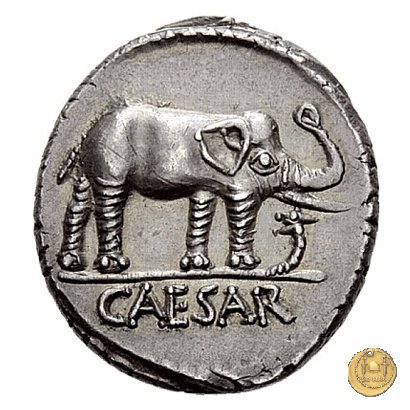 443/1 - denario C. Iulius Caesar 49-48 BC (Itinerante con Caesar)