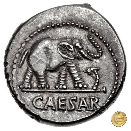 443/1 - denario C. Iulius Caesar 49-48 BC (Itinerante con Caesar)