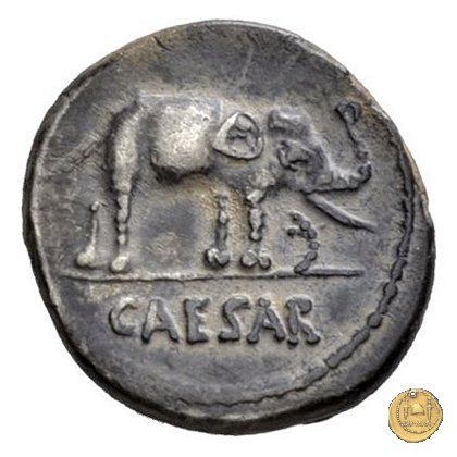 443/1 - denario C. Iulius Caesar 49-48 BC (Itinerante con Caesar)