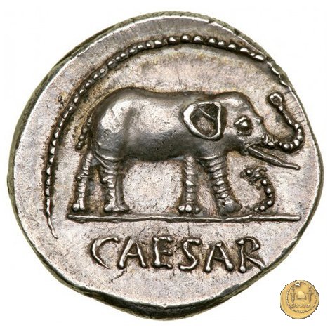 443/1 - denario C. Iulius Caesar 49-48 BC (Itinerante con Caesar)