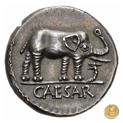 443/1 - denario C. Iulius Caesar 49-48 BC (Itinerante con Caesar)