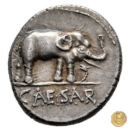 443/1 - denario C. Iulius Caesar 49-48 BC (Itinerante con Caesar)