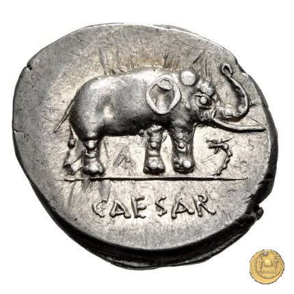 443/1 - denario C. Iulius Caesar 49-48 BC (Itinerante con Caesar)