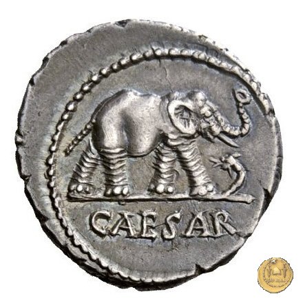 443/1 - denario C. Iulius Caesar 49-48 BC (Itinerante con Caesar)