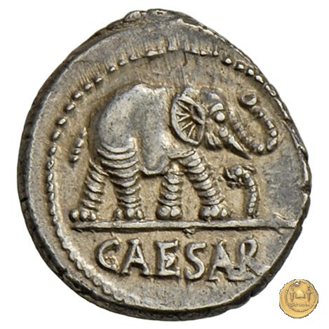 443/1 - denario C. Iulius Caesar 49-48 BC (Itinerante con Caesar)