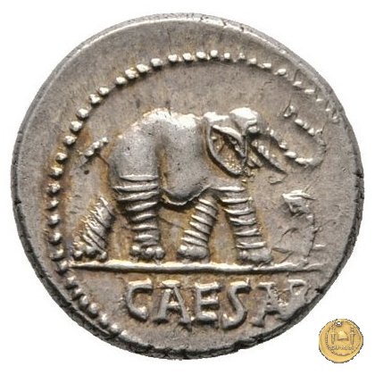 443/1 - denario C. Iulius Caesar 49-48 BC (Itinerante con Caesar)