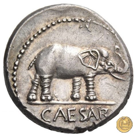 443/1 - denario C. Iulius Caesar 49-48 BC (Itinerante con Caesar)