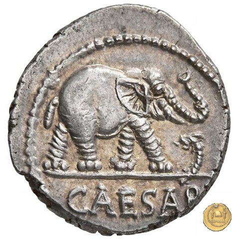 443/1 - denario C. Iulius Caesar 49-48 BC (Itinerante con Caesar)