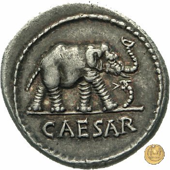 443/1 - denario C. Iulius Caesar 49-48 BC (Itinerante con Caesar)