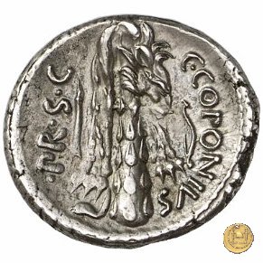 444/1 - denario Q. Sicinius / C. Coponius 49 BC (Itinerante con Pompeius)