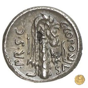 444/1 - denario Q. Sicinius / C. Coponius 49 BC (Itinerante con Pompeius)