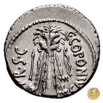 444/1 - denario Q. Sicinius / C. Coponius 49 BC (Itinerante con Pompeius)